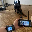 Dark Systems Wrist Mount