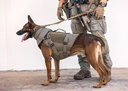 P7K9 Ballistic K9 Vest