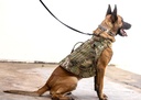 P7K9 Ballistic K9 Vest