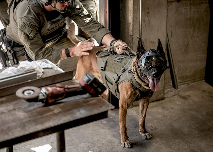 P7K9 Ballistic K9 Vest